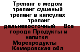 Трепанг с медом, трепанг сушеный, трепанг в капсулах, трепанг дальневосточный. - Все города Продукты и напитки » Морепродукты   . Кемеровская обл.,Ленинск-Кузнецкий г.
